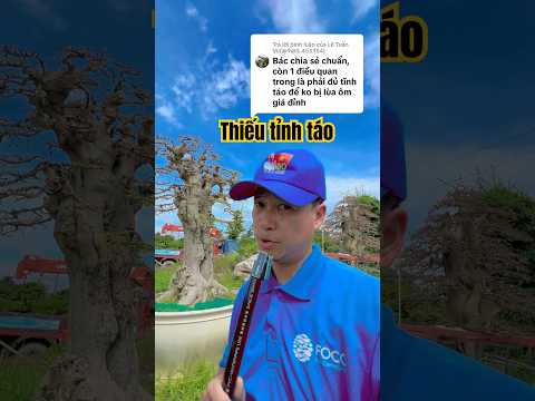 Chủ doanh nghiệp Đổ TIỀN chơi  cây thiếu tỉnh táo đều mắt sai lầm này #tuanbonsai #caycanh  #bonsai