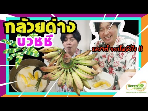 กล้วยด่างบวชชี!!!|กล้วยฟลอริด