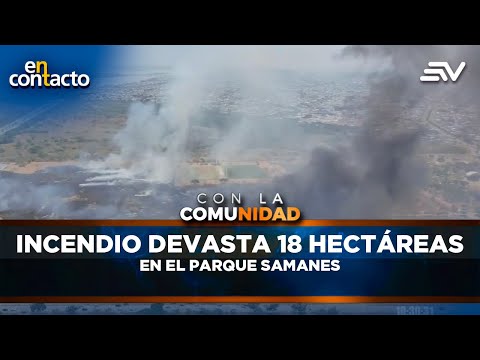 Incendio devasta 18 hectáreas en el Parque Samanes | En Contacto | Ecuavisa