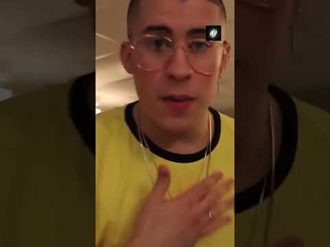Bad Bunny x iPauta