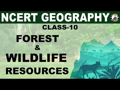 Forest and Wildlife Resources| geography chapter 2 class 10| NCERT GEOGRAPHY by PV Sir