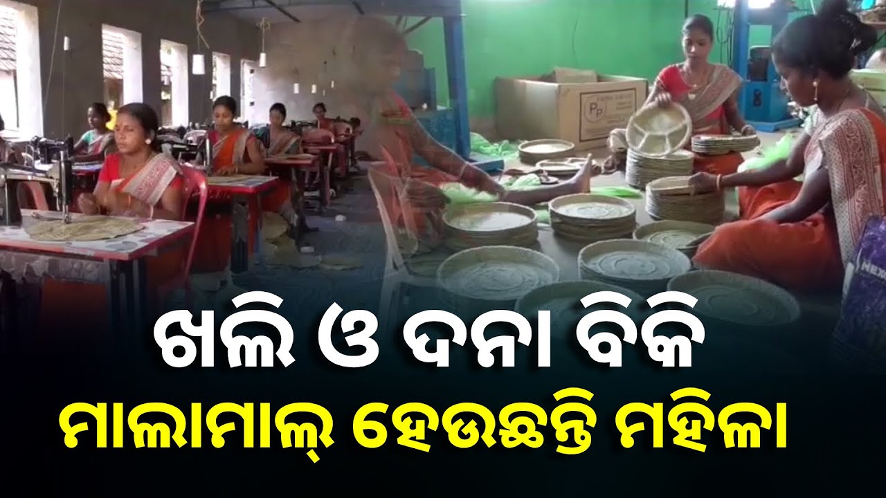 ଶାଳ ପତ୍ର ସିଲେଇ କରି ପରିବାରର ଖର୍ଚ୍ଚ ତୁଲାଉଛନ୍ତି ମହିଳା ବୁଣାକାର, ଅନ୍ୟମାନଙ୍କ ପାଇଁ ହୋଇଛନ୍ତି ପ୍ରେରଣାର ଉତ୍ସ