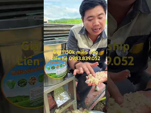 Máy xay thức ăn chăn nuôi cho gia súc #maytronthucanchannuoi #channuoi #farming #maynghiencam