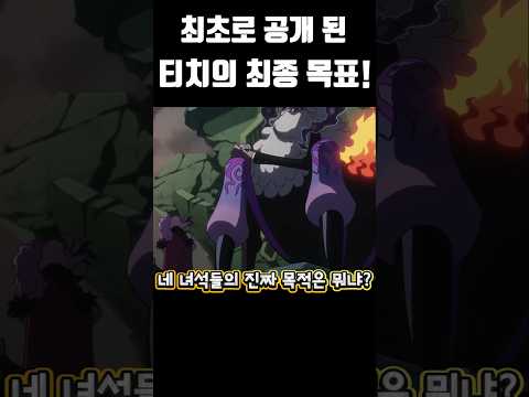 최초로 공개 된 티치의 최종 목표! #원피스 #onepiece