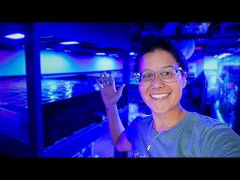 Visiting 5 Local Fish Stores in South Florida I needed to make some deliveries to 5 local fish stores, decided a quick LFS tour at each was in ord