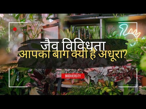 Why Biodiversity Matters in Your Garden 🌿🍂 जैव विविधता से भरपूर बाग के 8 अनमोल फायदे