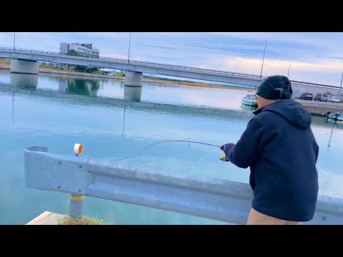 【宮城県】真冬間近の閖上漁港で釣れているお魚さん!!