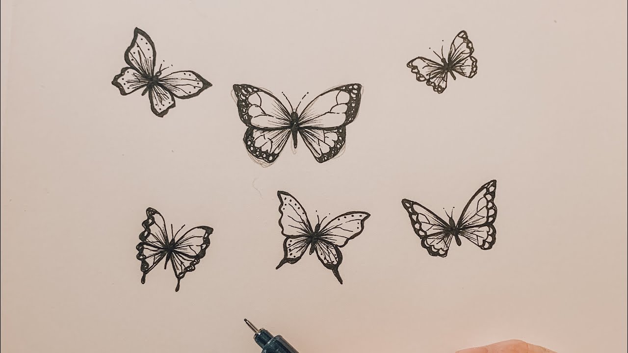The TRICK to draw a butterfly