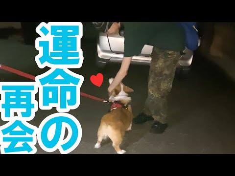 玄関出てすぐ、いないはずのお兄ちゃんが突然あらわれたらこうなる