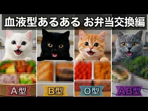【血液型あるある】性格が違う猫たちの個性が詰まったお弁当交換