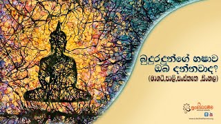 බුදුරදුන්ගේ භෂාව ඔබ දන්නවාද?  (මාගධී,පාලි,සංස්‌කෘත ,සිංහළ）