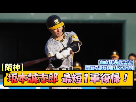 【阪神】坂本誠志郎 最短１軍復帰へ！【なんJ/2ch/5ch/ネット 反応 まとめ/阪神タイガース/岡田監督/梅野隆太郎】