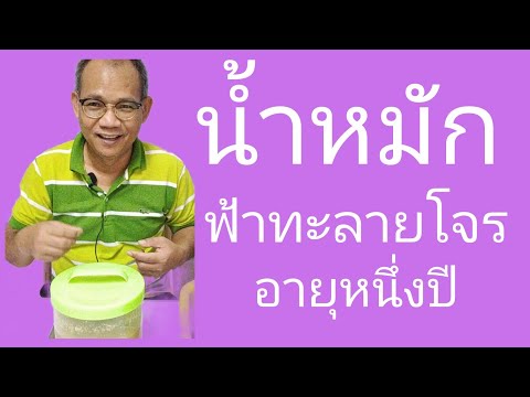 น้ำหมักฟ้าทะลายโจร-อายุหนึ่งปี น้ำหมักฟ้าทะลายโจร-อายุหนึ่งปี
