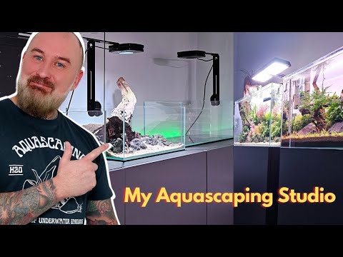 My All New AQUASCAPING Studio | Future AQUASCAPES  #aquascaping #aquariumhobby #fishtank #aquarium 

Merch_
https_//geordie-scaper-apparel.teemill.com/