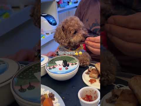 이게 무슨날이야 🔔🔔🔔아빠와 나만의 날💕💞💕💓💓💓주고받고 또주세요#socute#건강최고#아빠최고