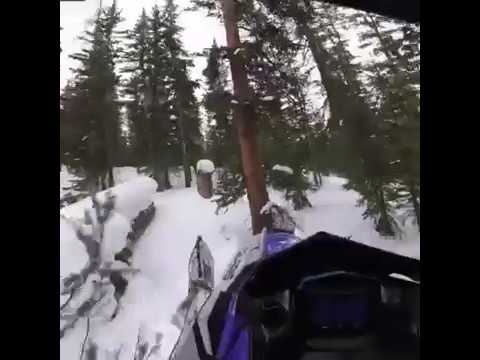 Chris Burandt Log Ride