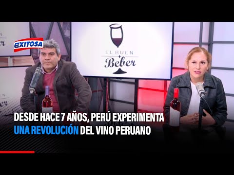 Desde hace 7 años, Perú experimenta una revolución del vino peruano