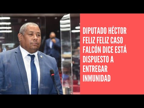 Diputado Héctor Feliz Feliz caso Falcón dice está dispuesto a entregar inmunidad