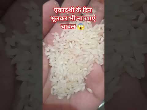 #एकादशी के दिन भूलकर भी ना खा चावल 😱 #motivation #astrology #katha #kedarnath 🙏😱