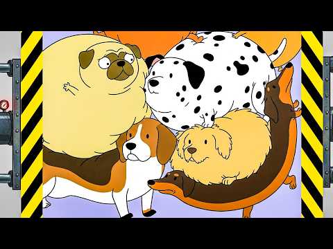 I added more dogs until I couldn't