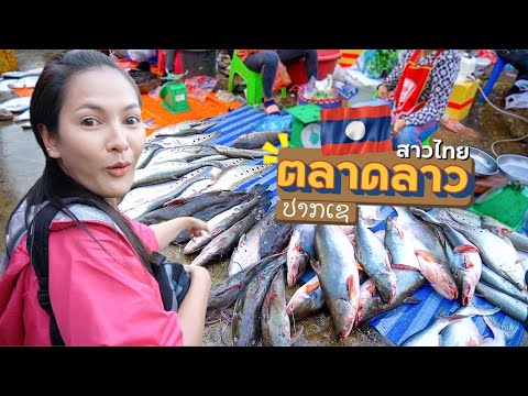 EP.2🇱🇦ตลาดปากเซ-+-กินก้อยปลา-ส EP.2🇱🇦ตลาดปากเซ-+-กินก้อยปลา-ส