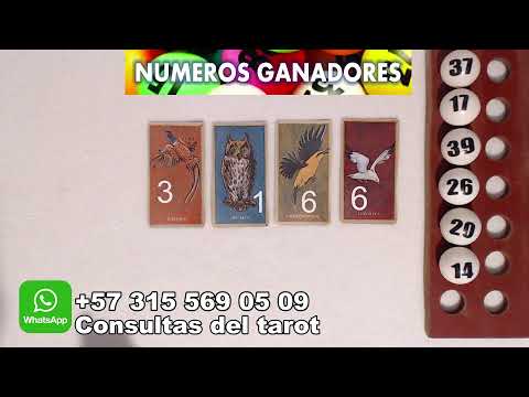 Numeros para la suerte y lectura del tarot