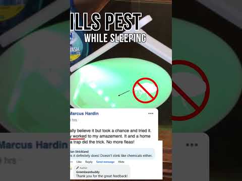 Are You Using Green Bean Buddy the Right Way — Common Mistakes to Avoid