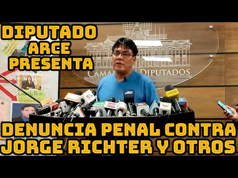 DIPUTADO ARCE PIDE HIJA DE JORGE RICHTER RESPONDER A LAS DENUNCIA EN SU CONTRA..