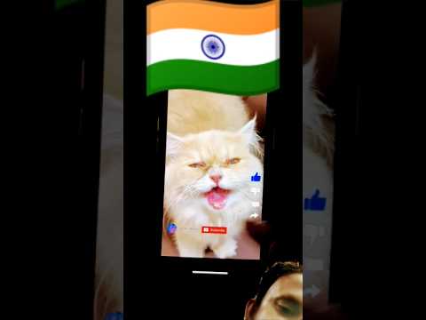 #funny #comedy#cat #cute #pets #viralvideo #youtubeshorts #trending #vtprankofficial #balveercartoon