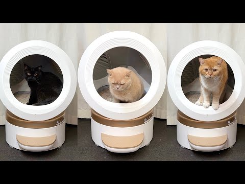 宇宙船ポッドが我が家に襲来