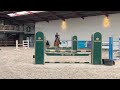 Show jumping horse Knappe, lieve merrie te koop