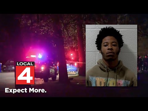 Teen charged with attempted murder in quadruple-shooting at Detroit park