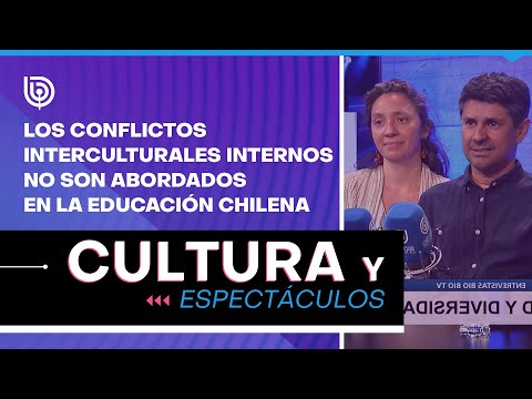 Los conflictos interculturales internos no son abordados en la educación chilena
