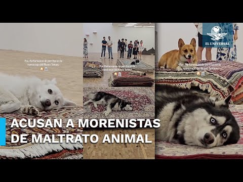 PAN critica performance con perros en Museo Tamayo