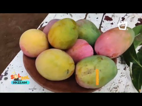 10 cosas que puedes hacer con mango