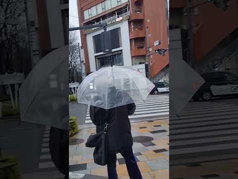 ฝนตกพรำๆharajuku