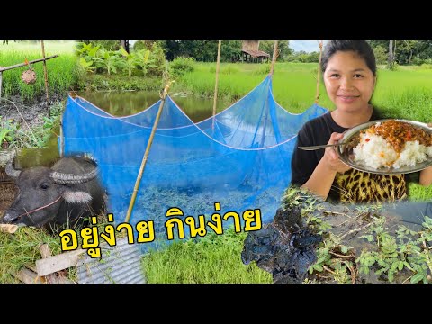 พัดปลากระป๋อง-สูตรนี้ง่ายสุด-อ พัดปลากระป๋อง-สูตรนี้ง่ายสุด-อ