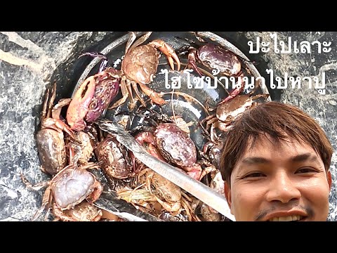ไฮโซบ้านนา-ไปหาปู-(ปูหนีบอีปิ) ไฮโซบ้านนา-ไปหาปู-(ปูหนีบอีปิ)
