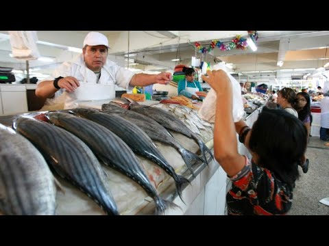 ¿Habrá escasez de pescado por el Fenómeno del Niño Costero?