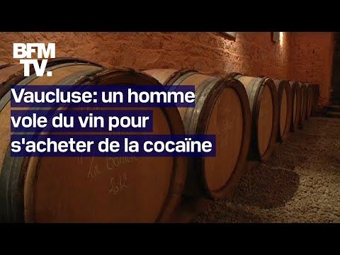 Vaucluse: un homme vole du vin dans le domaine viticole où il travaille pour s'acheter de la cocaïne