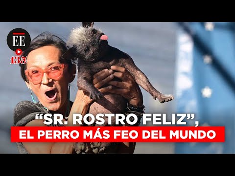 “Sr. Rostro Feliz”: así es el perro más feo del mundo | El Espectador