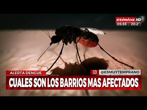 Alerta dengue: continúa la preocupación por el aumento de casos