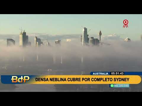 INTER 2   densa neblina cubre australia