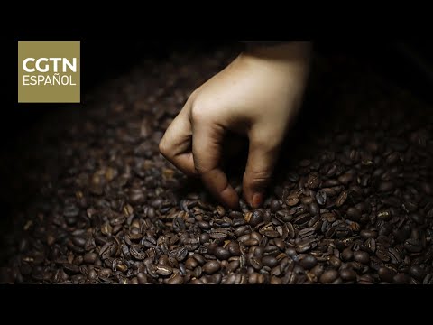 Honduras abre nueva ruta marítima para su café