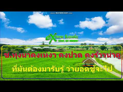 สัญญาก่อนลา-CoverMidiKarao