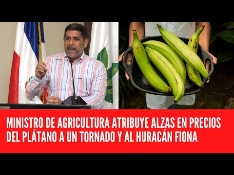 MINISTRO DE AGRICULTURA ATRIBUYE ALZAS EN PRECIOS DEL PLÁTANO A UN TORNADO Y AL HURACÁN FIONA