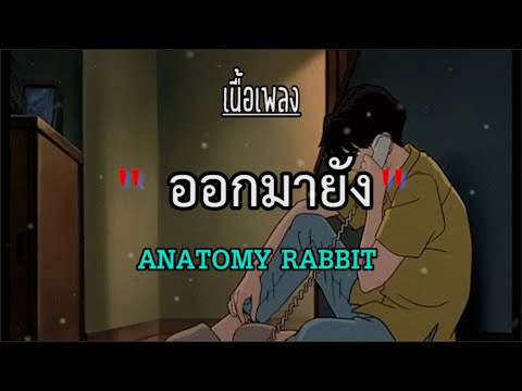 ออกมายัง-ANATOMYRABBIT「เนื