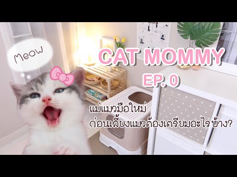🎀-CAT-MOMMY-EP.0-|-เลี้ยงแมวต้ 🎀-CAT-MOMMY-EP.0-|-เลี้ยงแมวต้