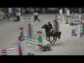 Show jumping horse Top merrie super voor Jumping Eventing en Fokkerij