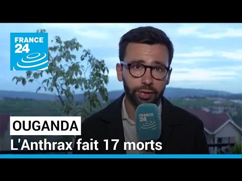 Ouganda : l'anthrax, la fièvre charbonneuse, fait 17 morts • FRANCE 24